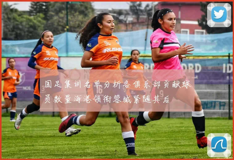 国足集训名单分析各俱乐部贡献球员数量海港领衔蓉城紧随其后